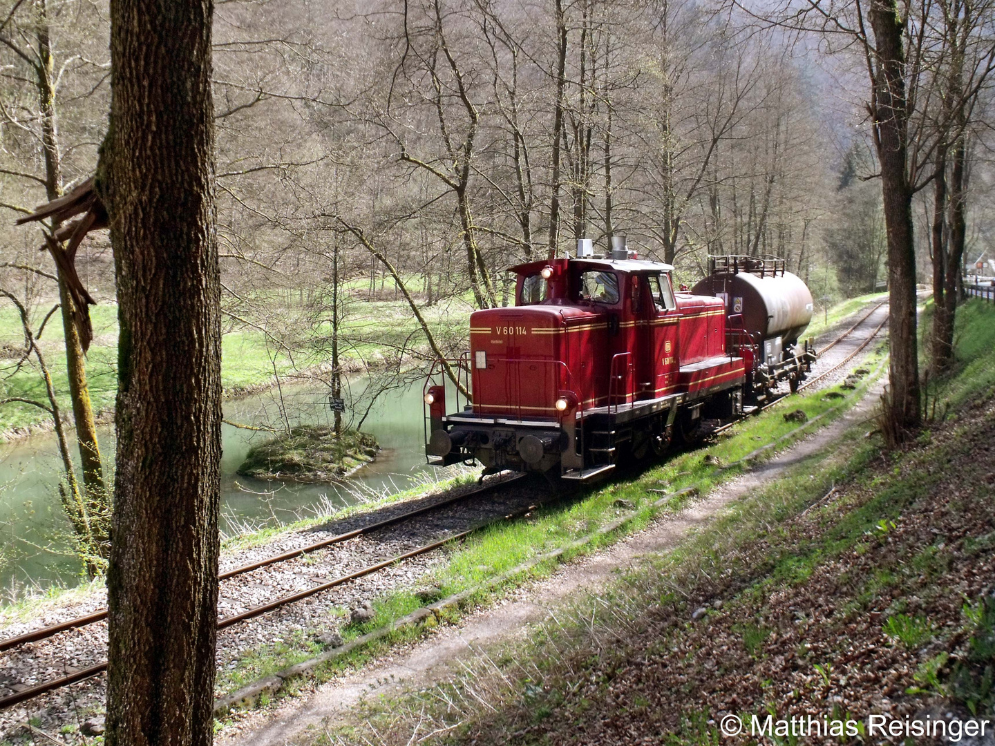 Ein kleiner Zug im Wald