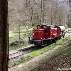 Ein kleiner Zug im Wald