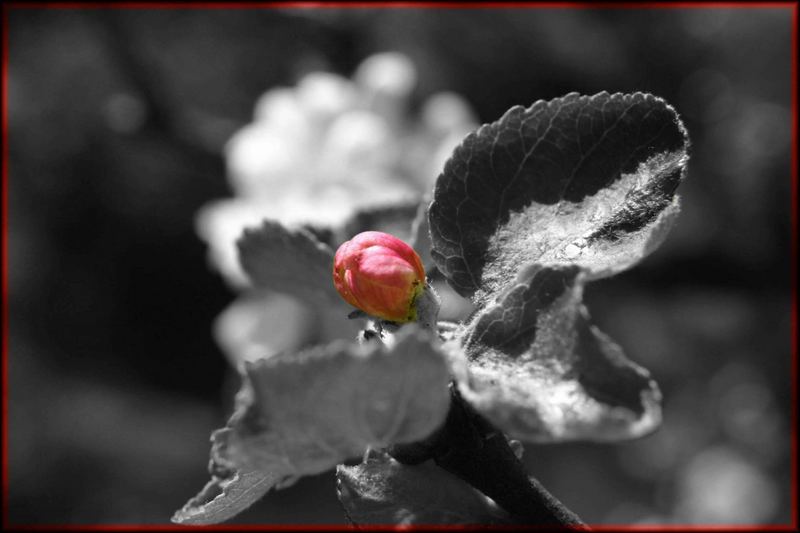 Ein kleines bisschen Farbe in diesem Grau