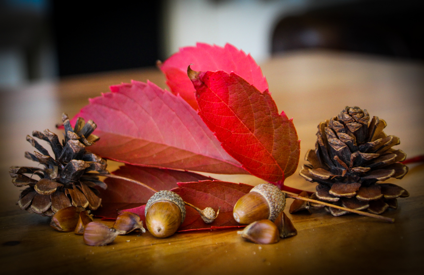 Ein kleines bisschen Herbst