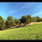 Ein kleines bisschen Herbst