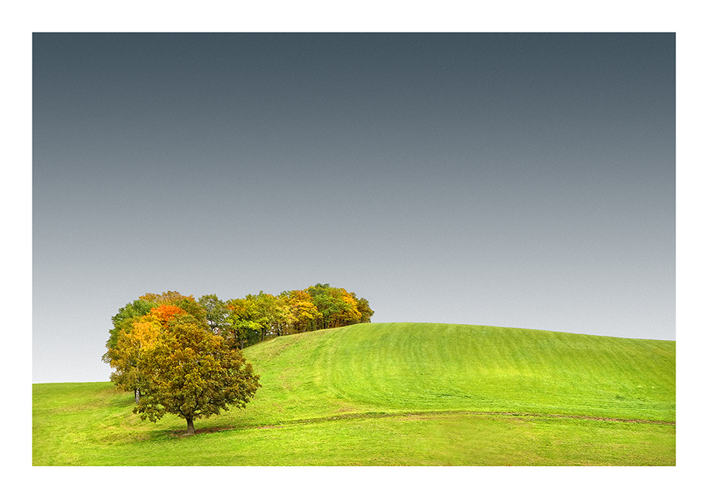 ein kleines bisschen herbst muss sein