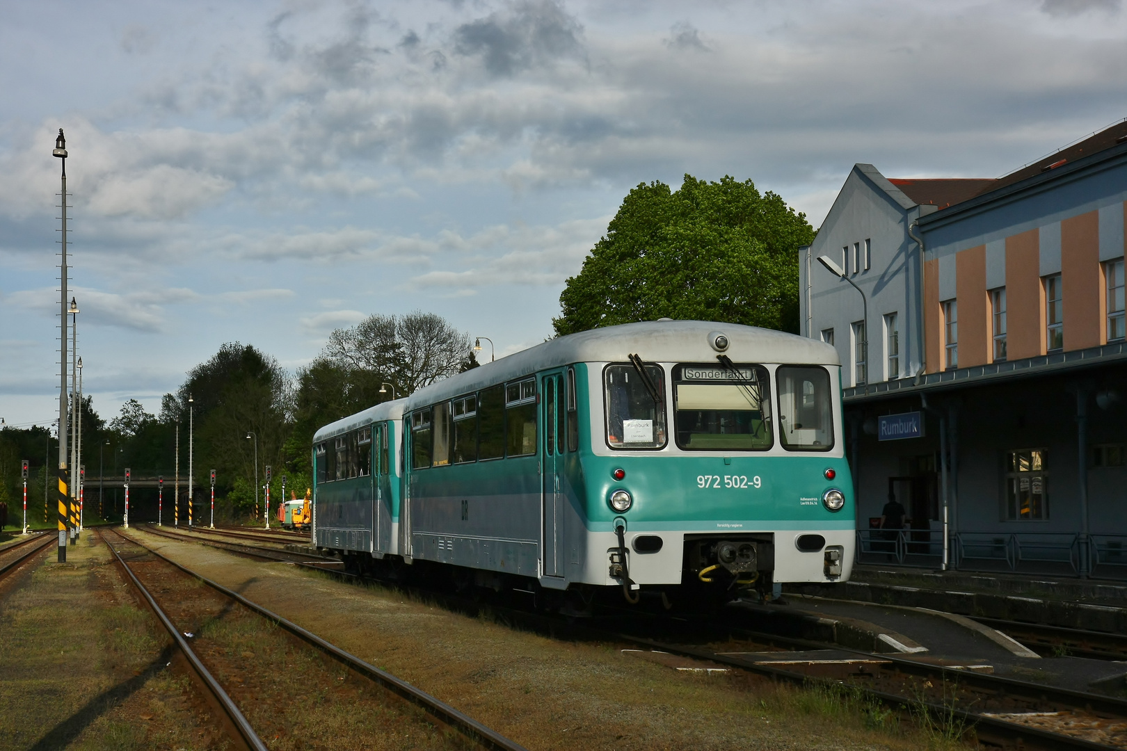 ein kleines Ferkel im Ausland