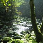 ein kleines idylisches flüßchen im bayrischen wald