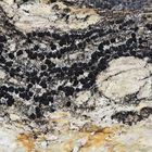 Ein kleines Kunstwerk auf einem grossen Felsen! * - Des lichens noir sur un rocher blanc...
