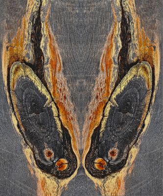 Ein kleines Kunstwerk aus Holz. - Une oeuvre d'art en bois...