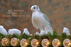 Ein kleines Lebenszeichen von mir