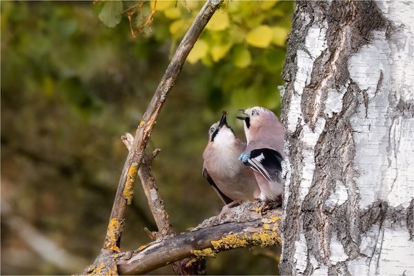 Ein kleines Leckerchen