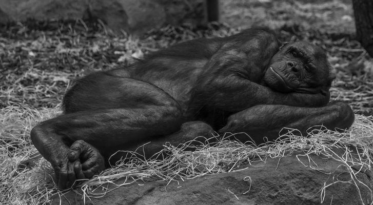 Ein kleines Mittagsschläfchen