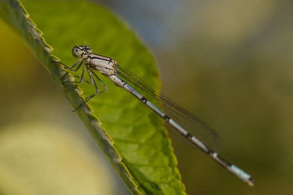 Ein kleines Päuschen.....