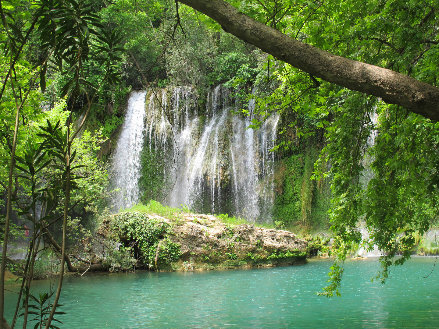 Ein kleines Paradies I