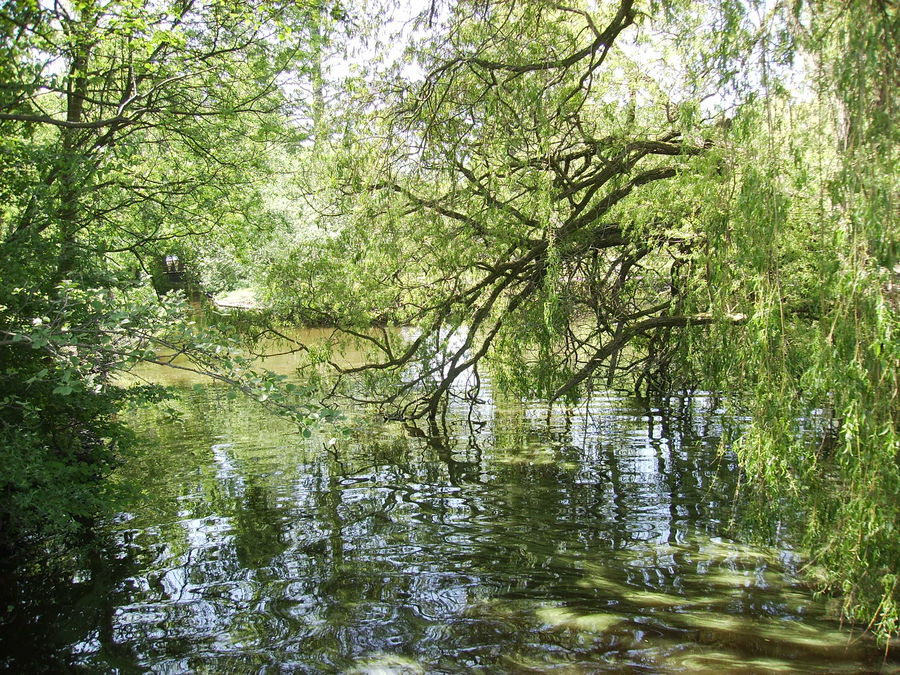 Ein kleines Seelein