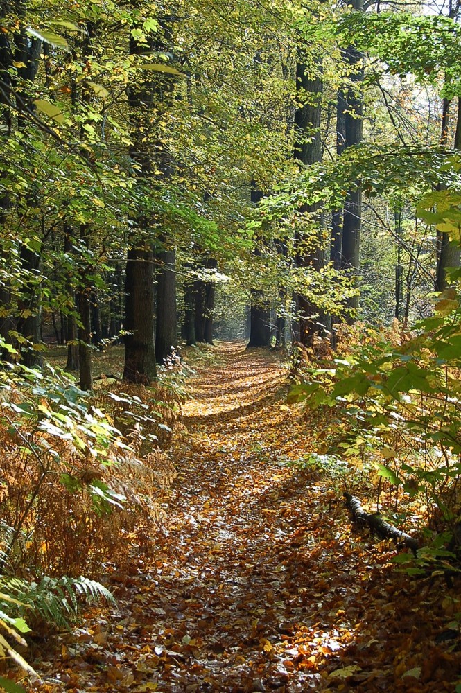 ein kleines Stück heiler Natur