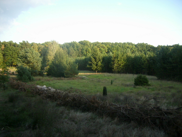 Ein kleines Stück Landschaft