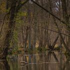 Ein kleines Stück Wildnis im Löcknitztal