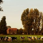 Ein kleines Stückchen Niederrhein... 02