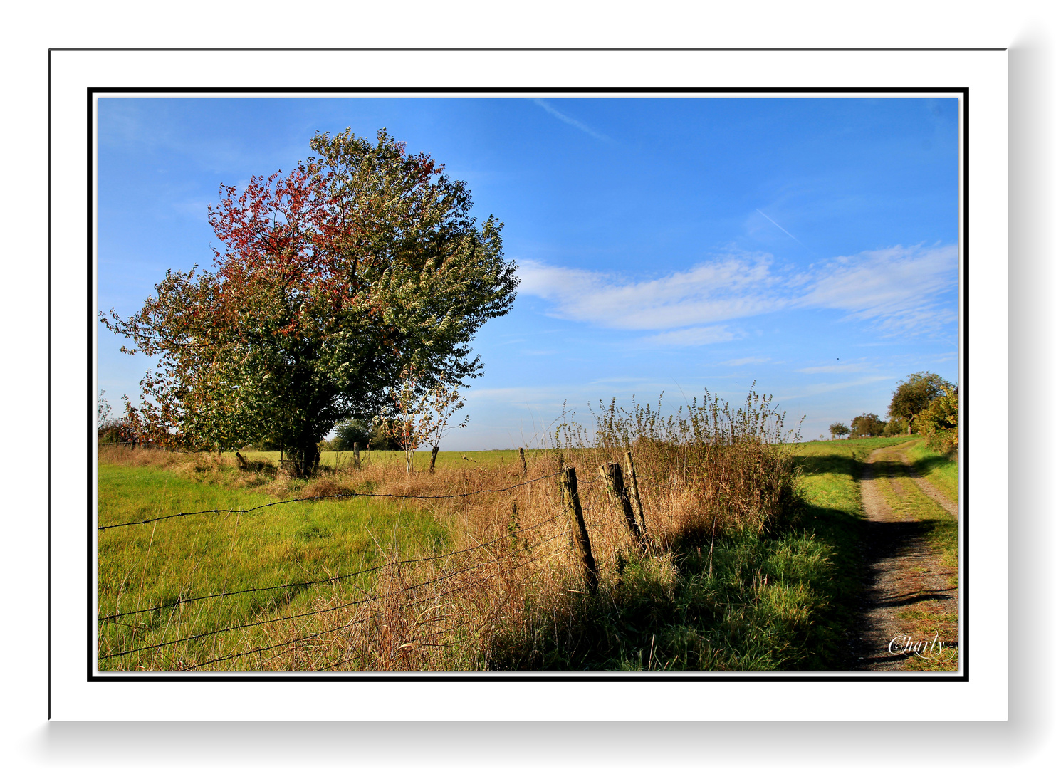 ein kleines stückchen.....westerwald.......!