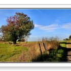 ein kleines stückchen.....westerwald.......!