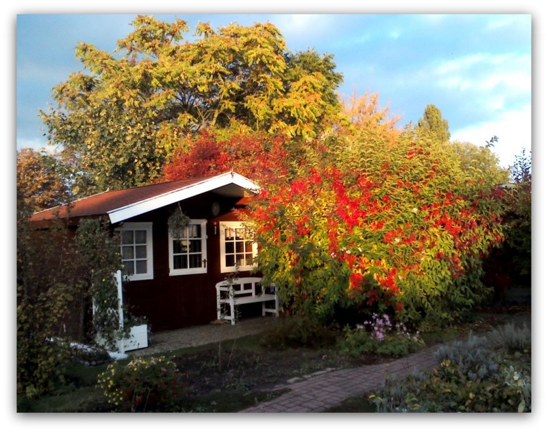 Ein Kleingarten im Herbst