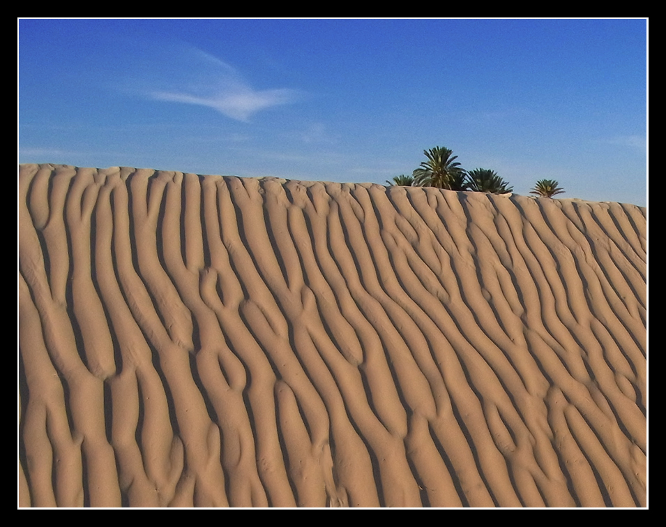 Ein klitzekleines Stück Sahara