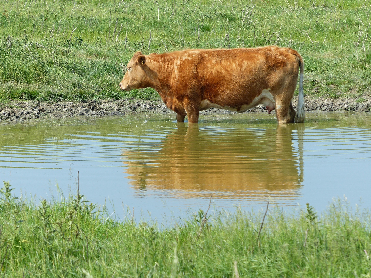 ein Kneipp'sches Fussbad