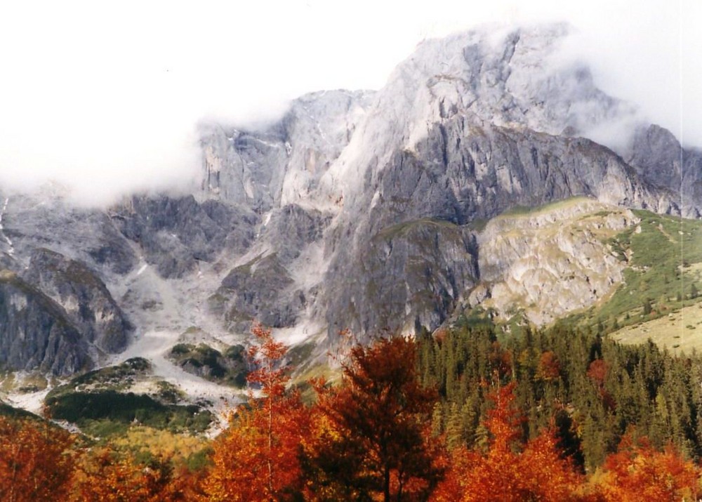 Ein König im Herbst