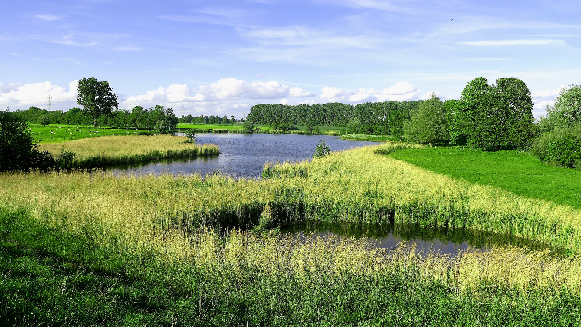 Ein Kolk im Kreis Kleve ( Niederrhein NRW )