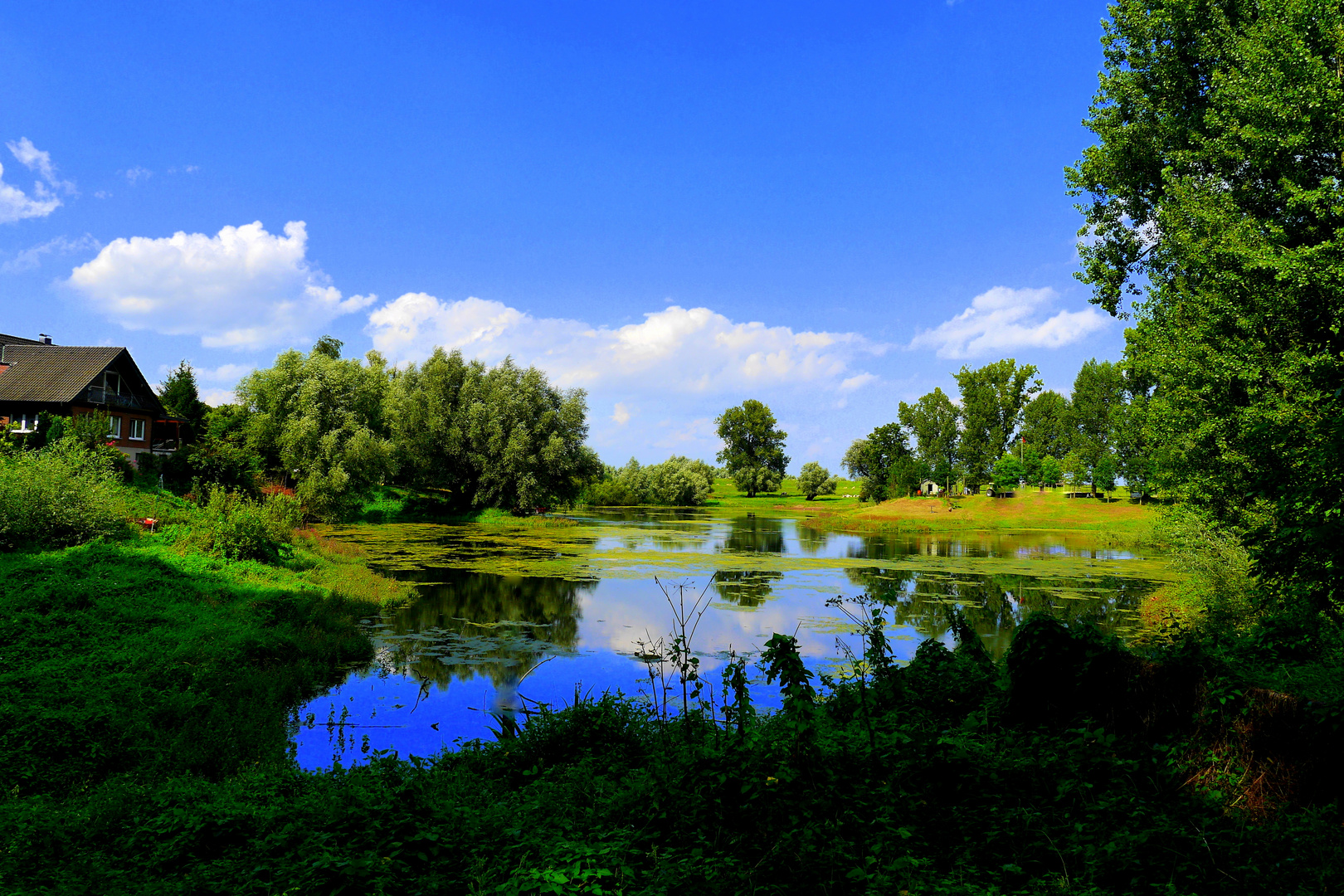 Ein Kolk in Kalkar- Niedermörmter Kreis Kleve (NRW)