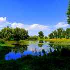 Ein Kolk in Kalkar- Niedermörmter Kreis Kleve (NRW)