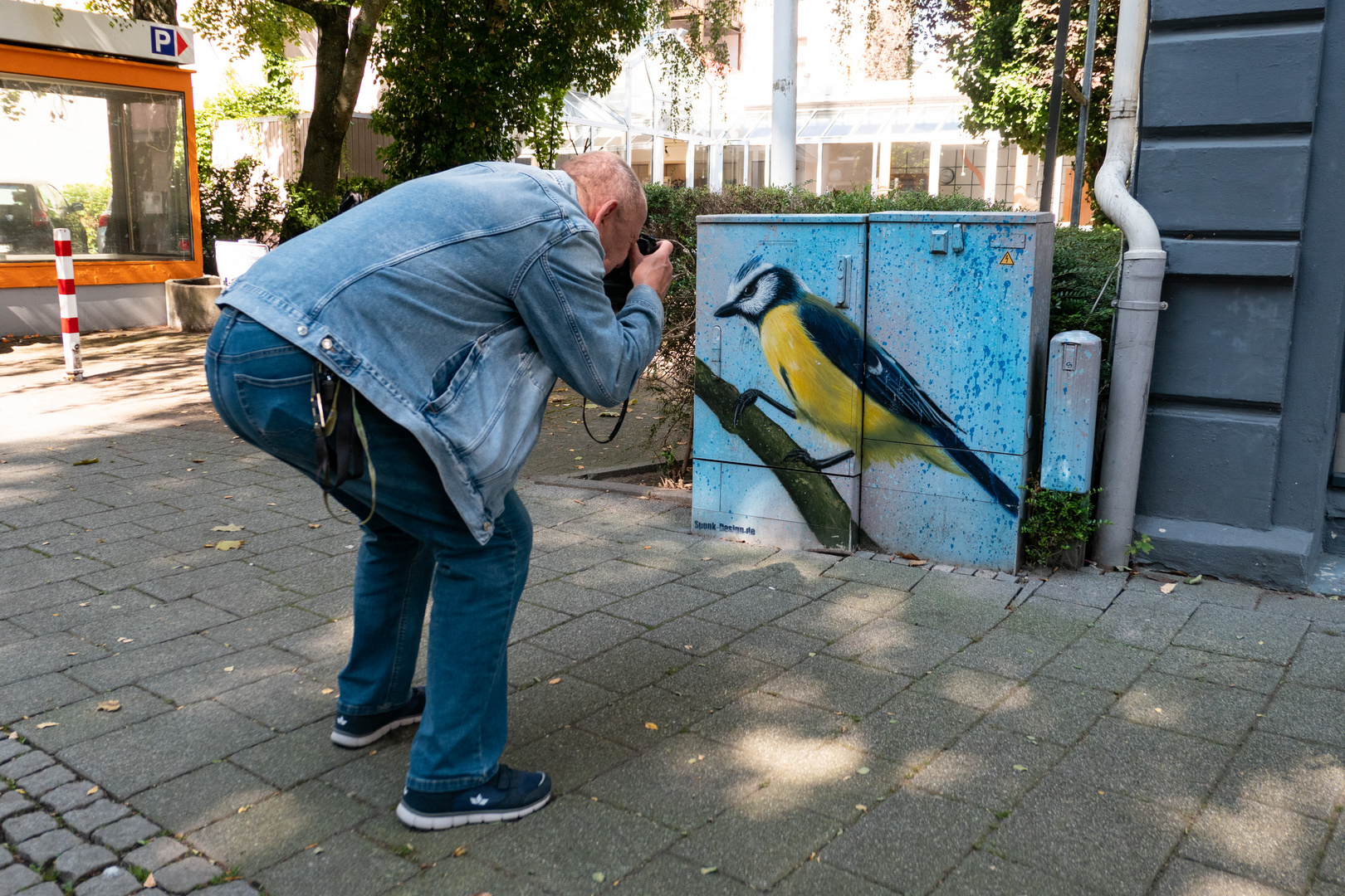 Ein komischer Vogel ... und eine Meise