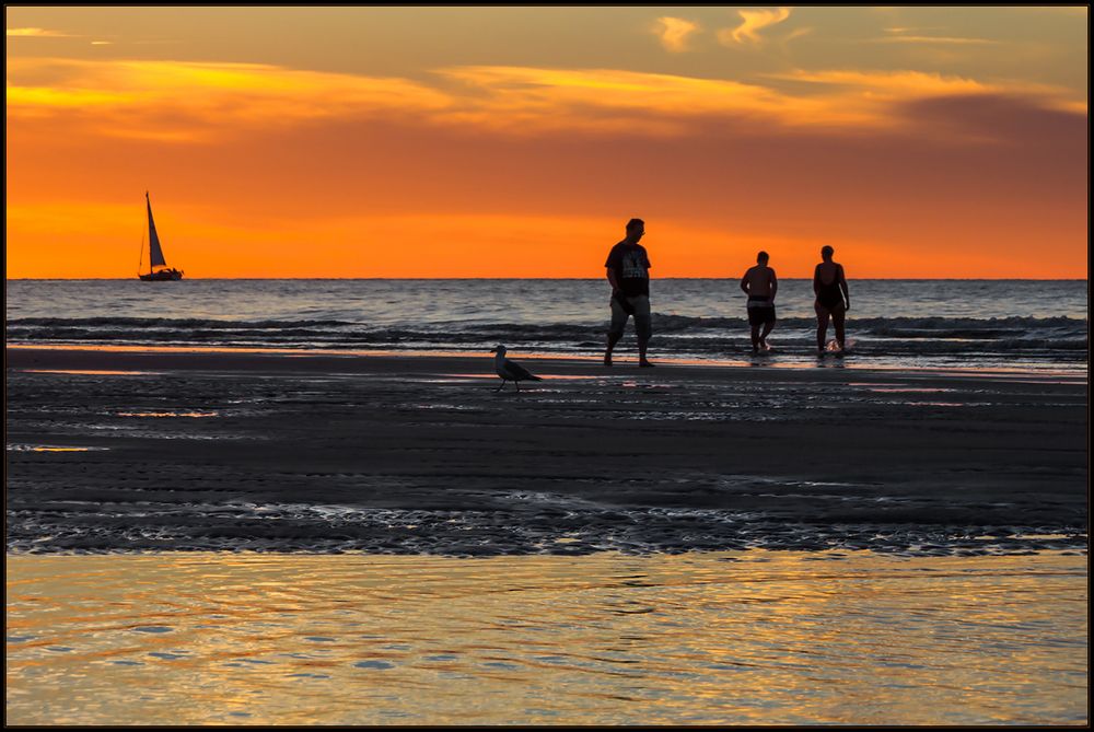 ...ein Kommen und Gehen am Meer... - ...eingetaucht in rot-goldenem Licht...