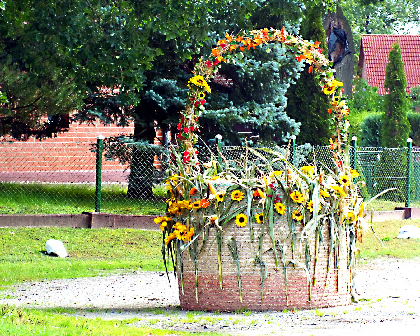 Ein Korb voll mit Mittwochsblümchen