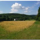 Ein Kornfeld im Hohen Vogelsberg