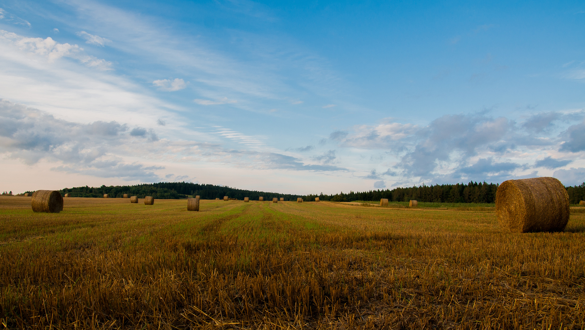 Ein Kornfeld in Tchechien .