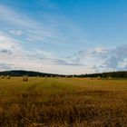 Ein Kornfeld in Tchechien .