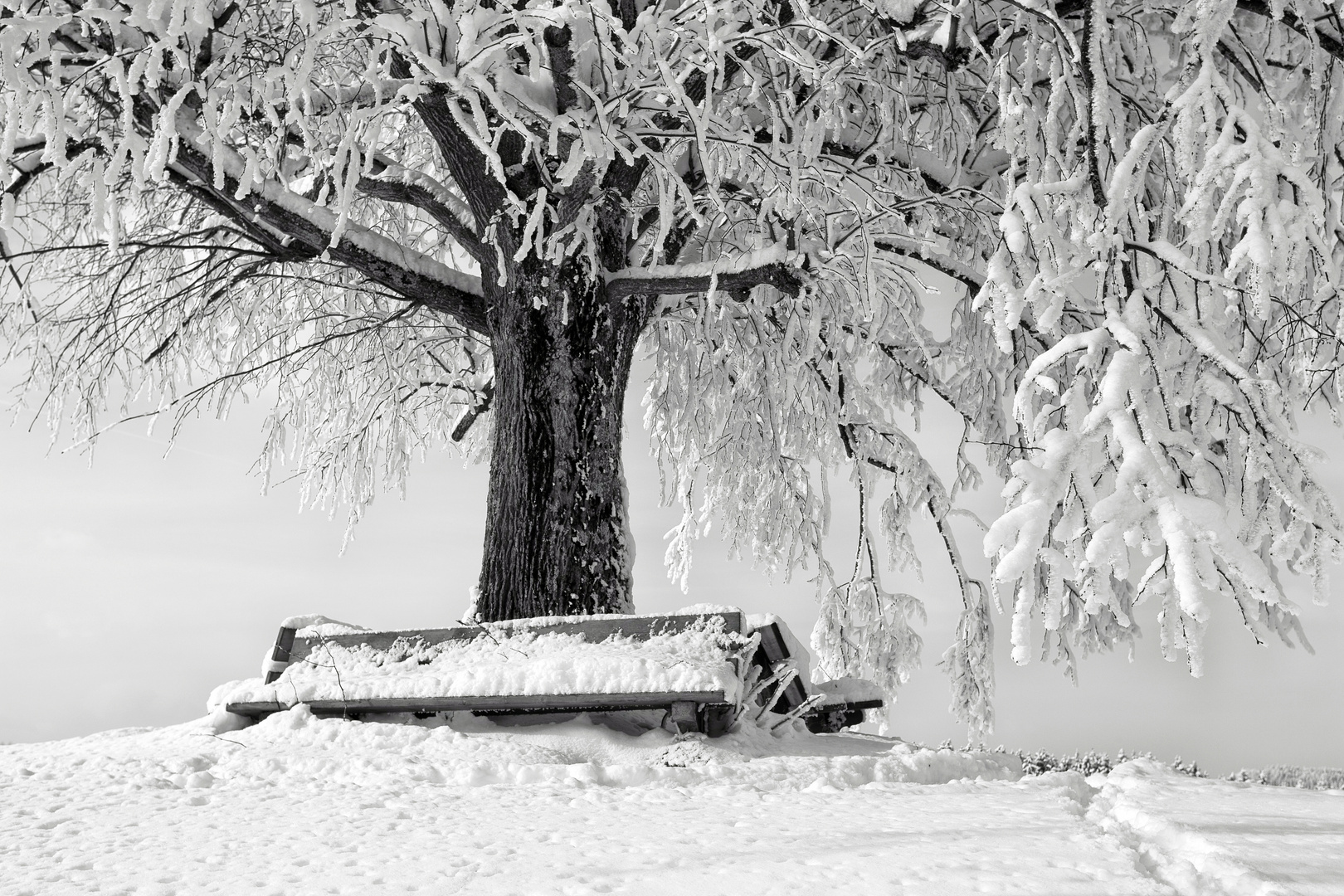 Ein Kraftort im Winter - Wunderland