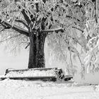 Ein Kraftort im Winter - Wunderland