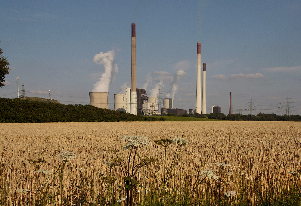 Ein Kraftwerk im Kornfeld ...