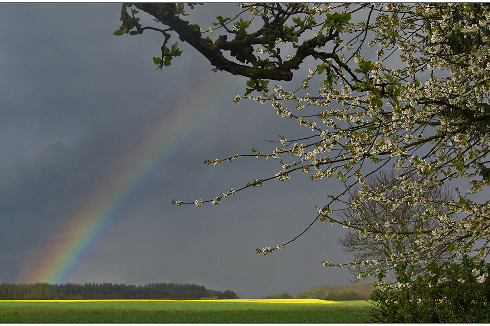 ein kraichgauer regenbogen..