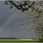 ein kraichgauer regenbogen..