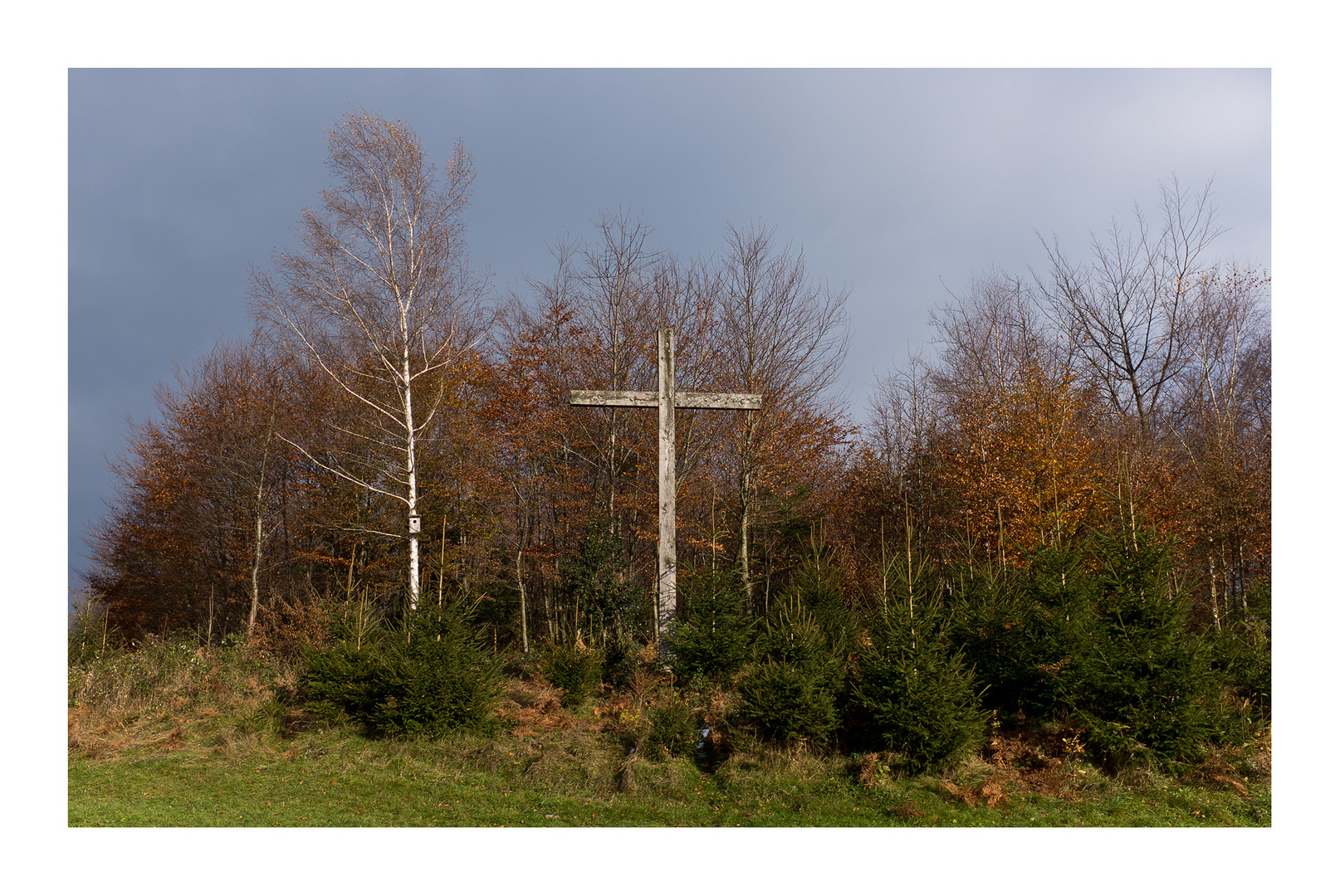 Ein Kreuz am Waldrand