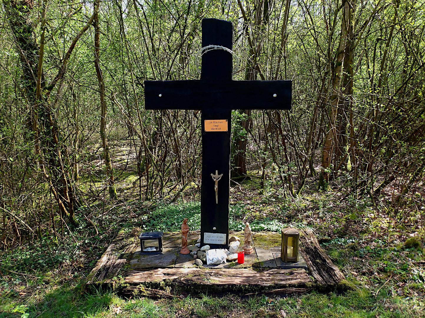 EIN KREUZ IM WALD: ...