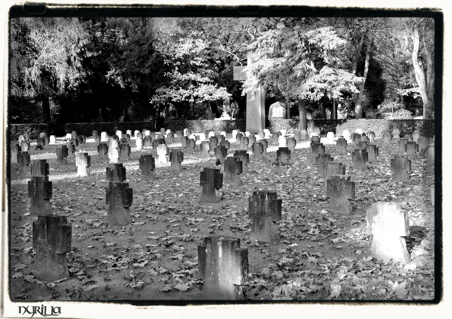 ein Kriegerfriedhof