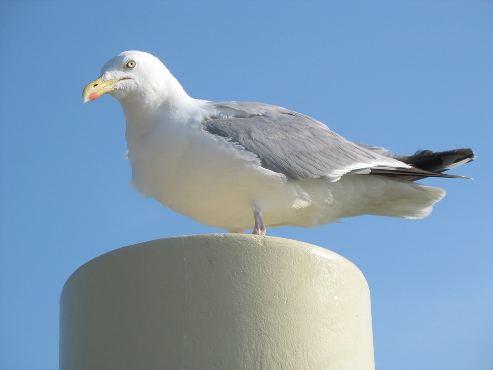 Ein kritischer Blick