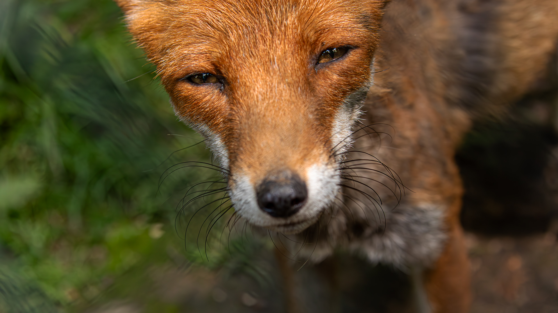 Ein kritischer Blick