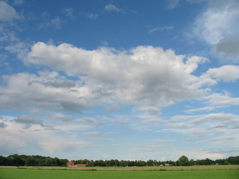 Ein Krokodil am Himmel