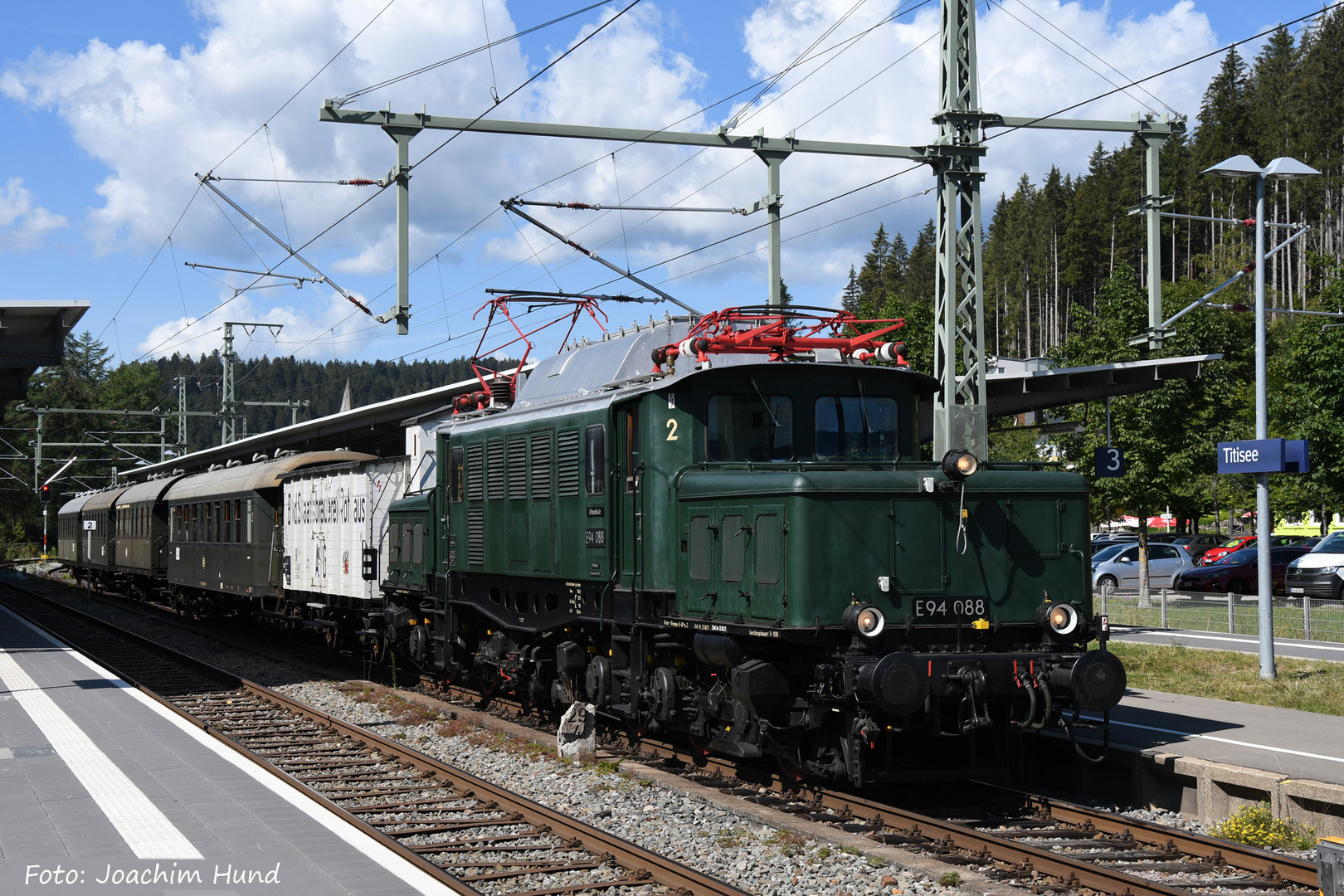 Ein Krokodil in Titisee