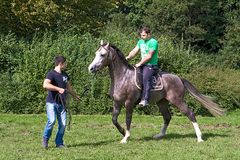 Ein "Krone-Pferd" beim Einreiten