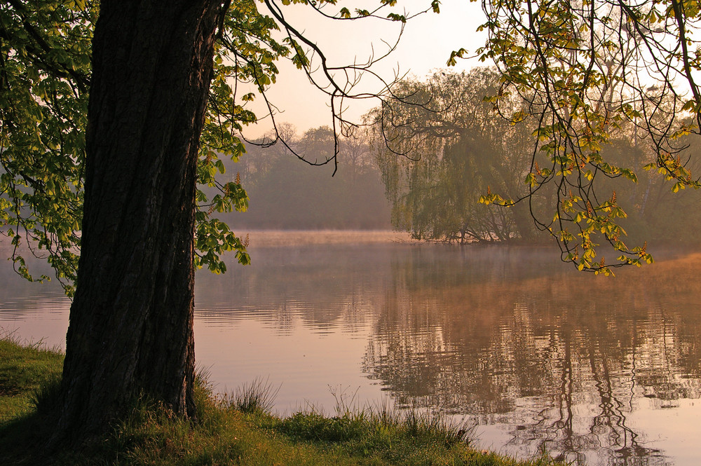 Ein kühler Frühlingsmorgen