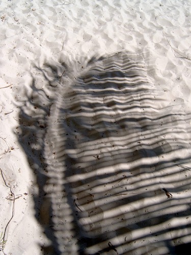 ~*~ein kühler Platz im Schatten~*~